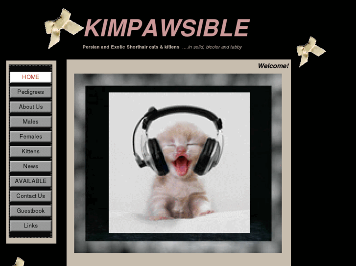 www.kimpawsible.com