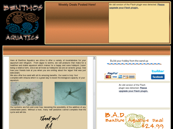 www.mywebsitedemo.info