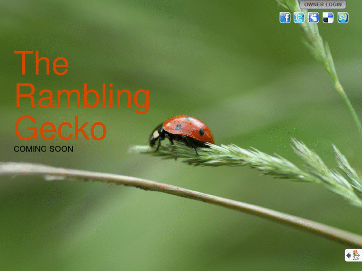 www.ramblinggecko.net
