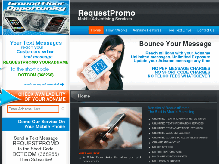 www.requestpromo.com