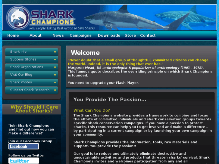 www.sharkchampions.com