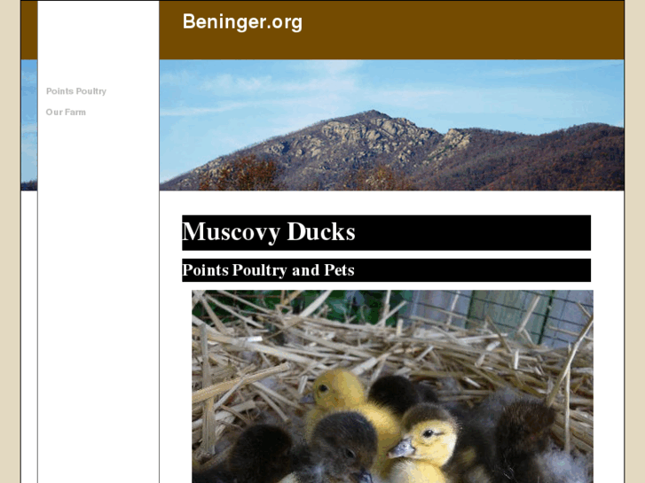 www.beninger.org