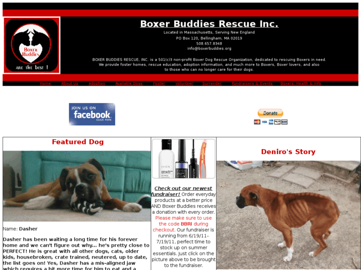 www.boxerbuddies.org