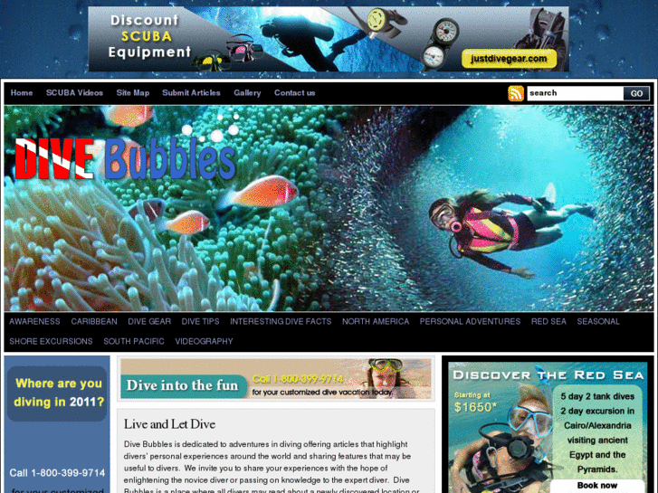 www.divebubbles.com