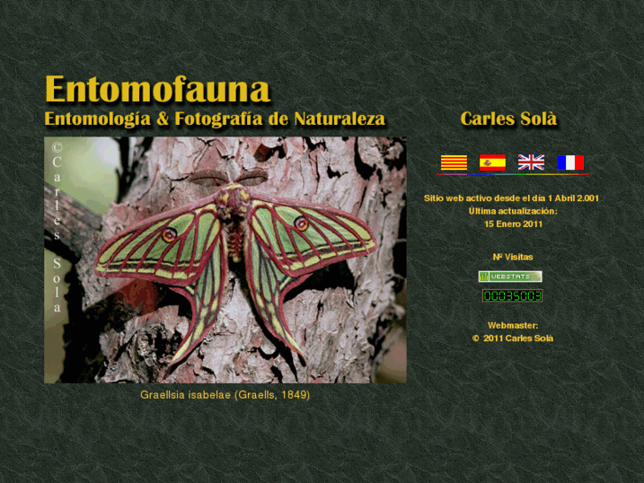 www.entomofauna.com