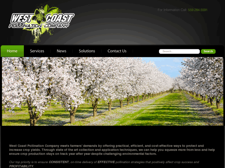 www.gopollen.com