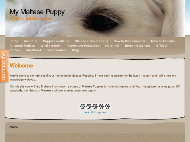 www.mymaltesepuppy.com