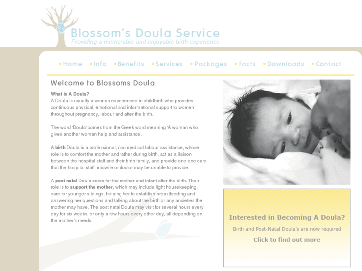 www.blossomsdoula.com