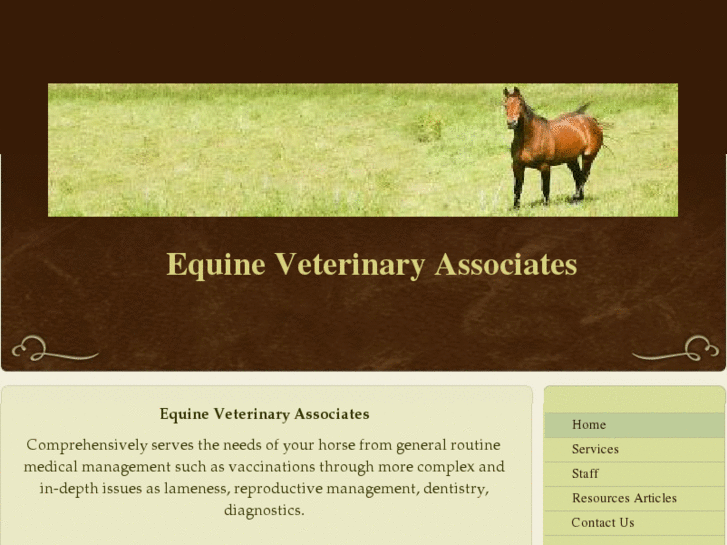 www.equineveterinaryassociatesba.com