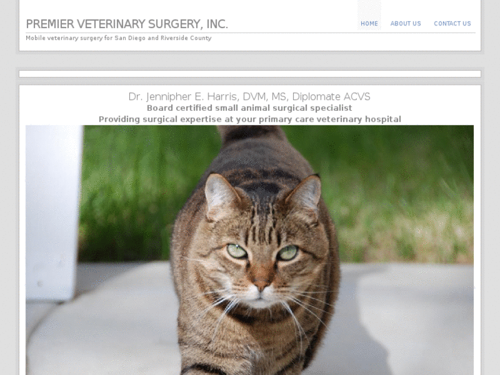 www.premierveterinarysurgery.com