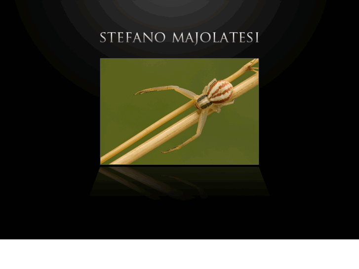 www.stefanomajolatesi.com