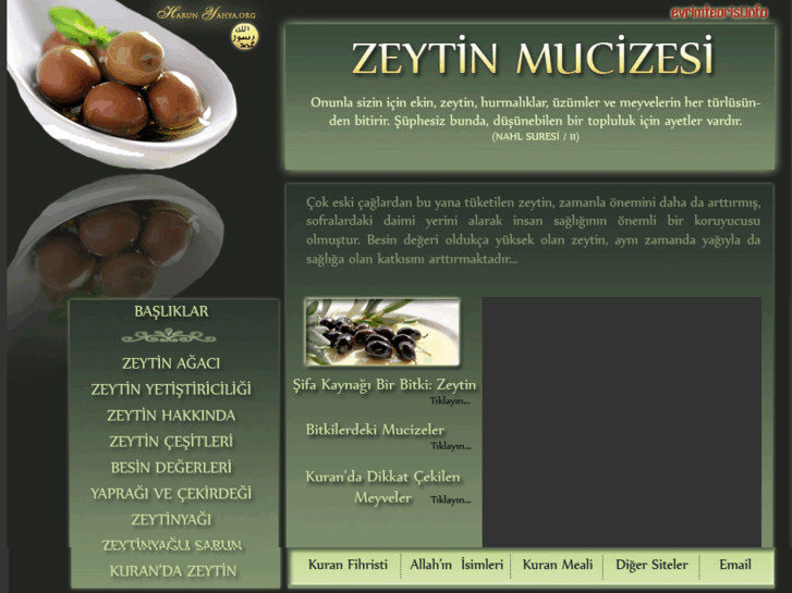 www.zeytinmucizesi.com