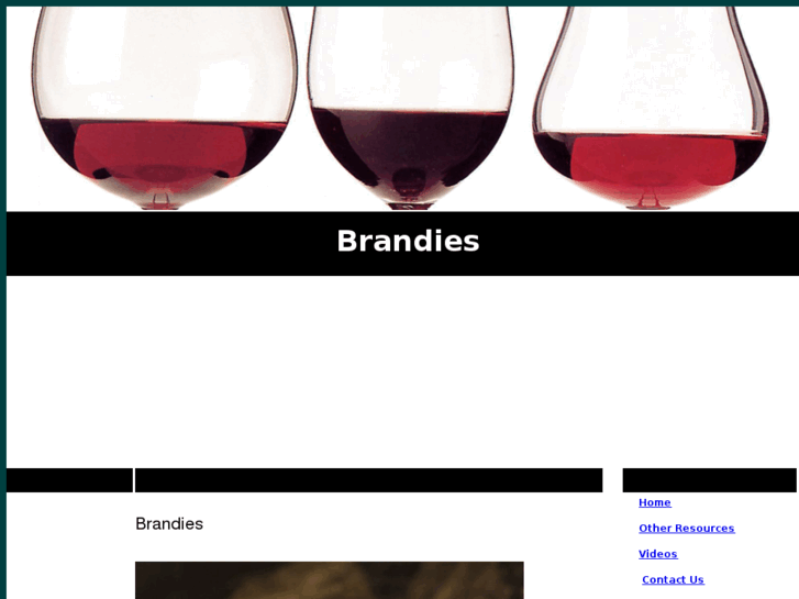 www.brandies.info