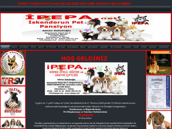 www.ipepa.net