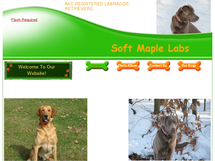 www.softmaplelabs.net