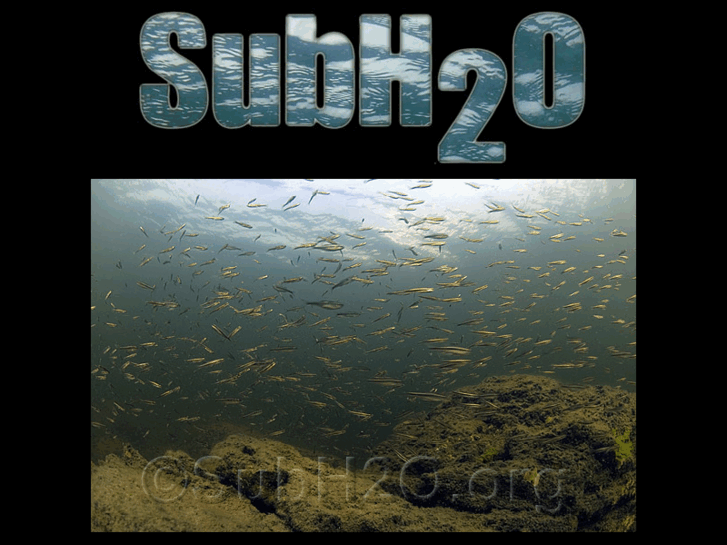 www.subh2o.net
