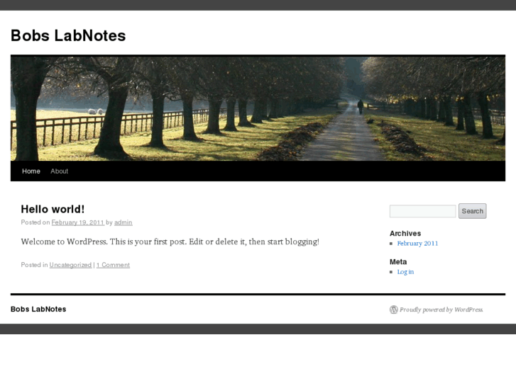 www.bobslabnotes.com