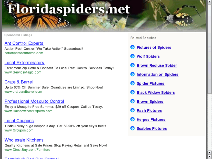 www.floridaspiders.net