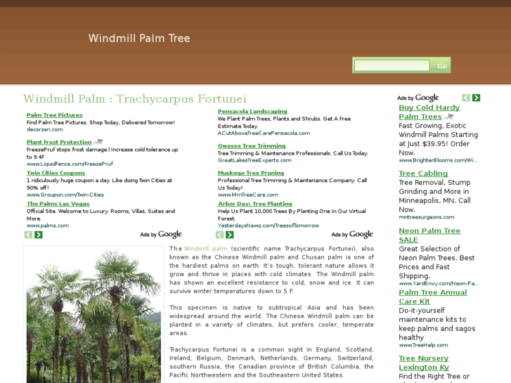 www.windmillpalmtree.com