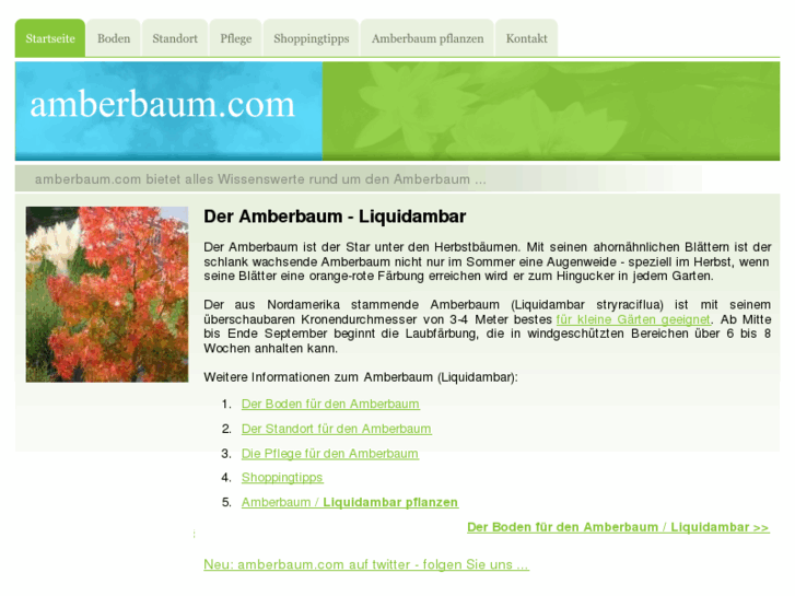 www.amberbaum.com