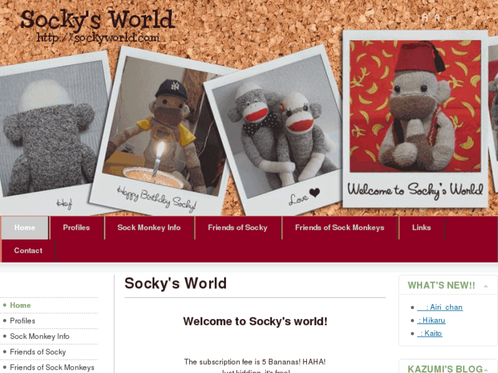 www.sockyworld.com