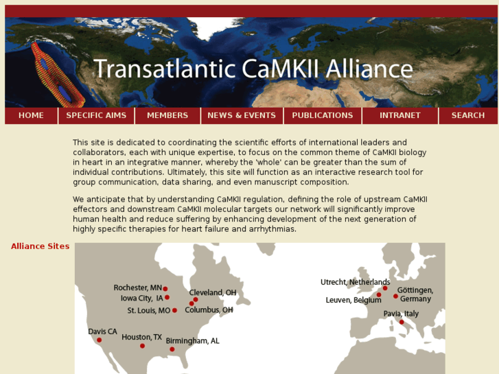 www.transatlantic-camk2-alliance.org