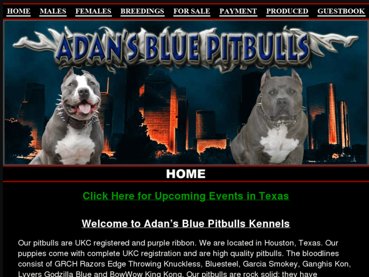 www.adansbluepitbulls.com