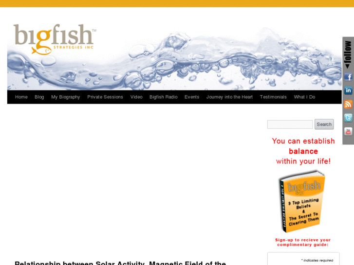 www.bigfishstrategies.com