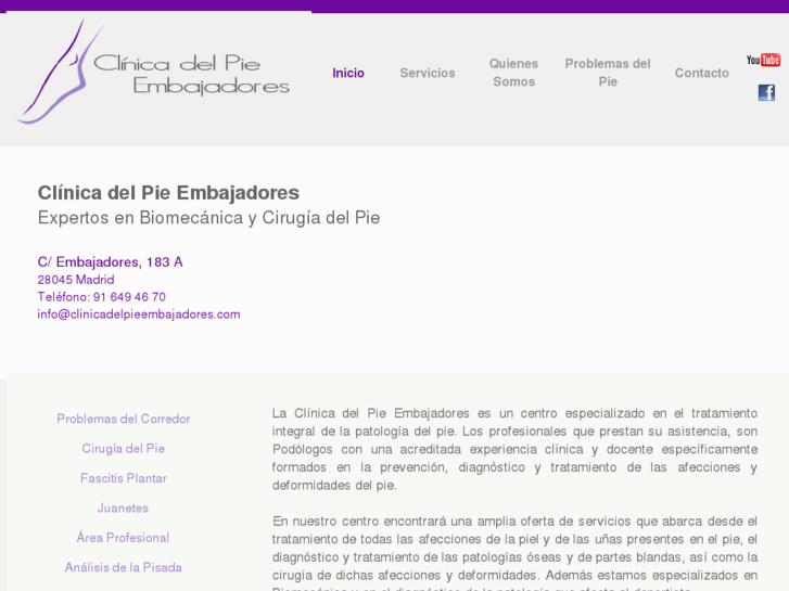 www.clinicadelpieembajadores.com