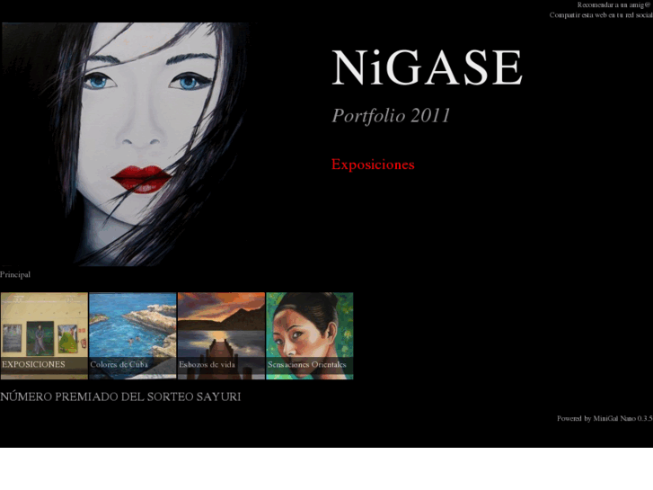 www.nigase.com