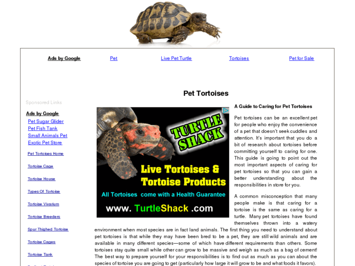 www.pettortoises.net