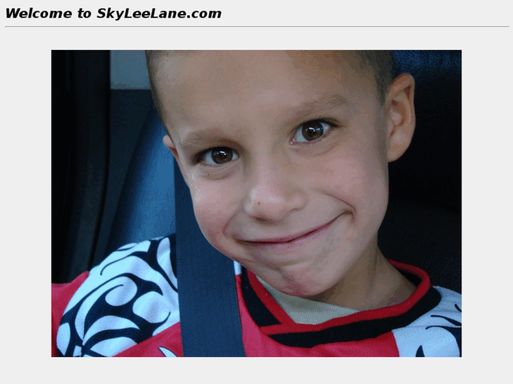 www.skyleelane.net
