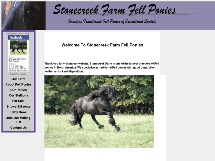 www.thefellpony.com