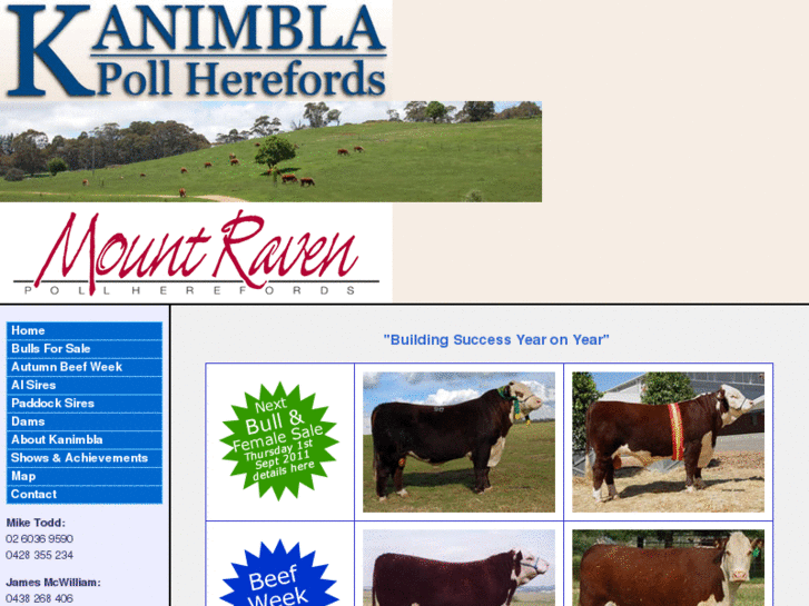 www.kanimblapollherefords.com