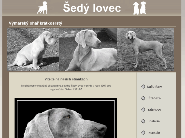 www.sedylovec.com