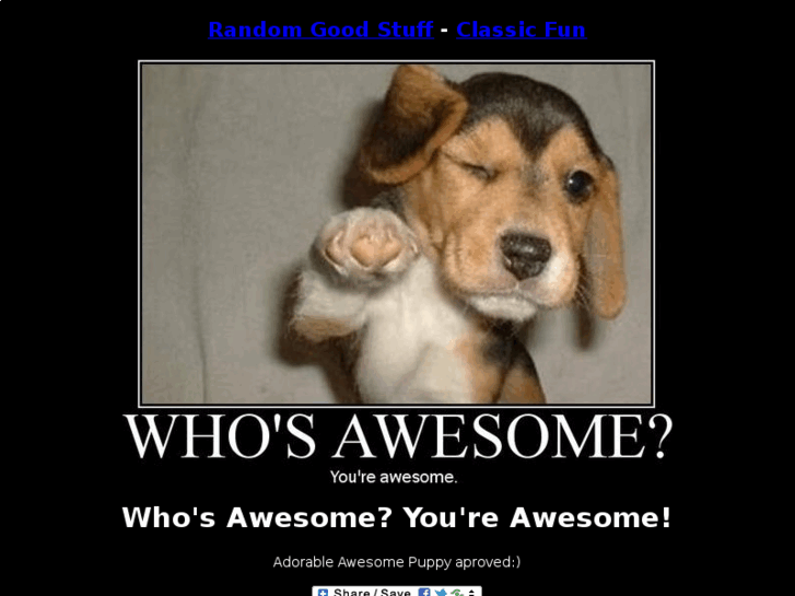 www.who-is-awesome.com