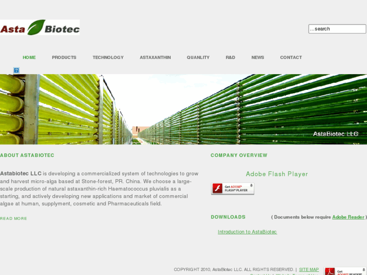 www.algachina.com