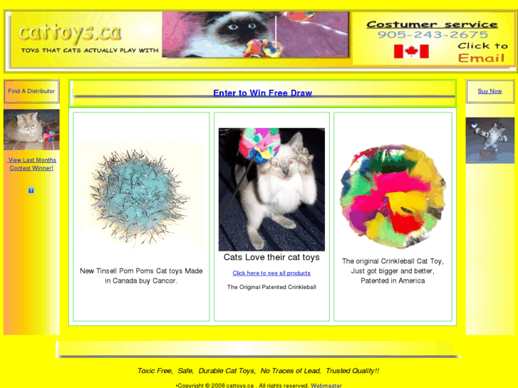 www.cattoys.ca