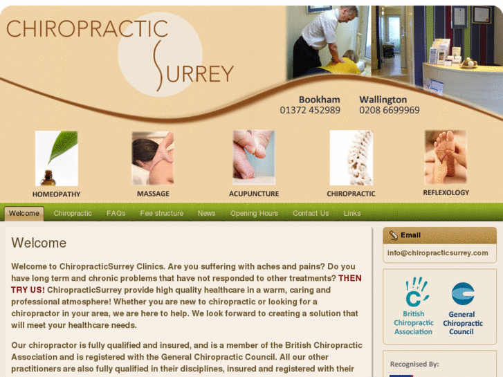 www.chiropracticsurrey.com