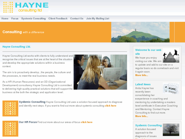 www.hayneconsulting.com