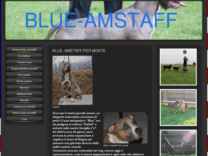 www.blue-amstaff.com