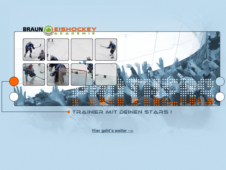 www.braun-eishockey-akademie.com
