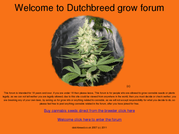 www.dutchbreed.co.uk