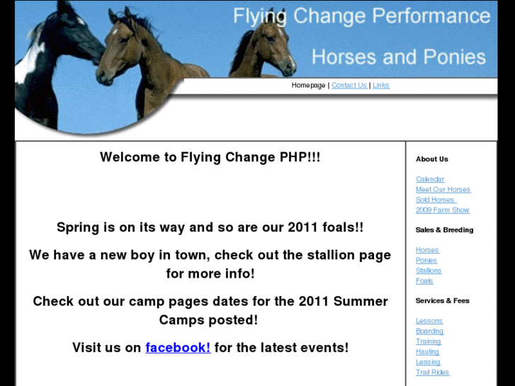 www.flyingchangephp.com