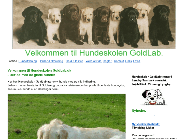 www.hundeskolengoldlab.dk