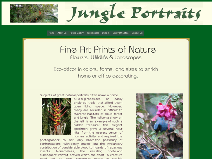 www.jungleportraits.com