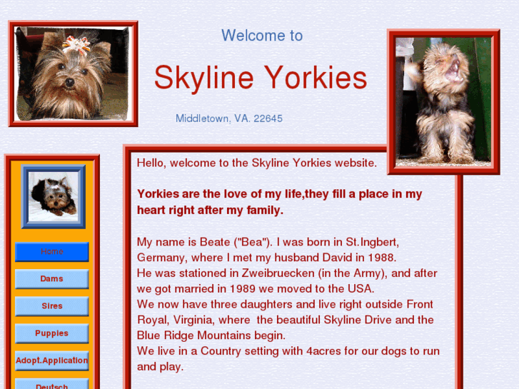 www.skylineyorkies.com