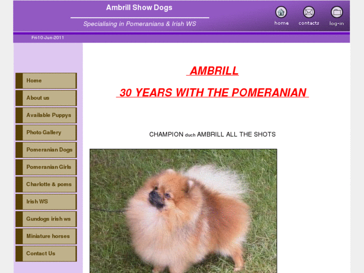 www.ambrillpomeranians.com