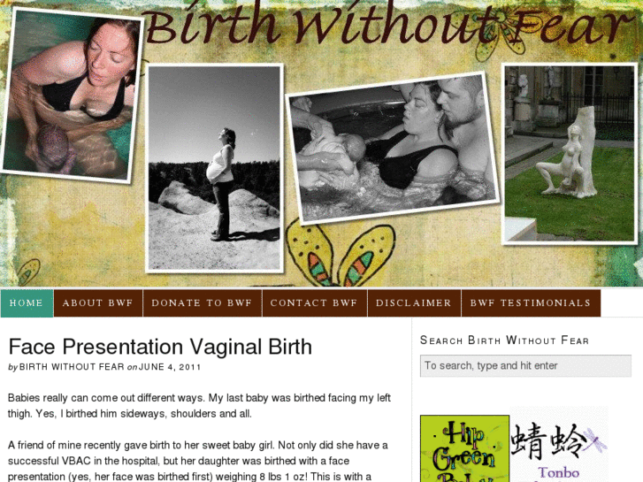 www.birthwithoutfearblog.com