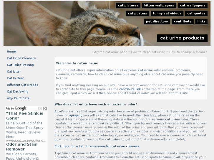 www.cat-urine.net